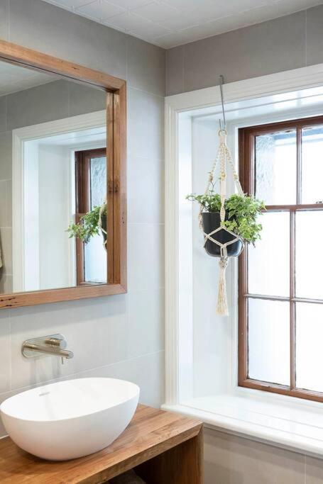 The Hive Apartment Beechworth Bagian luar foto